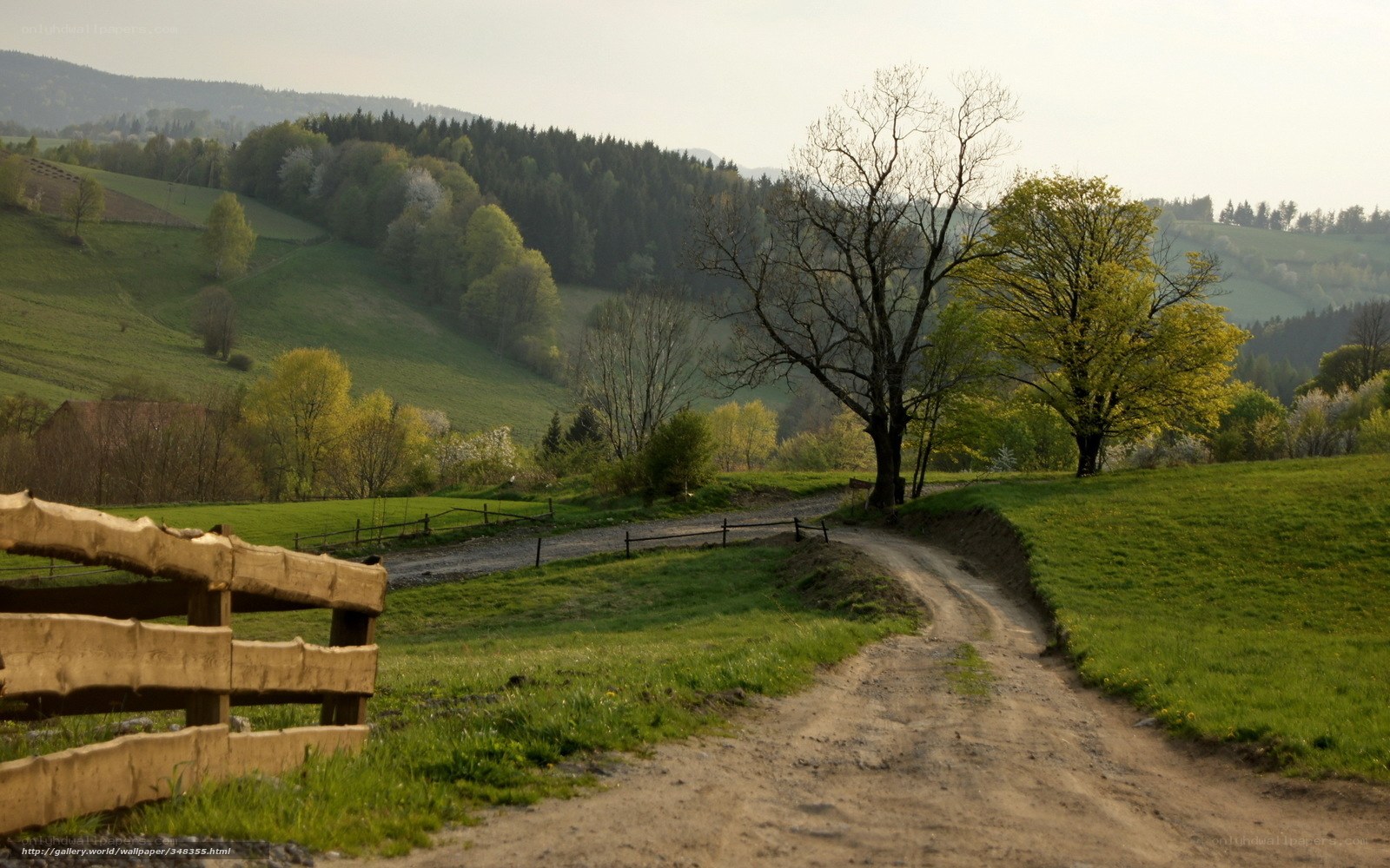 Rural path in green hills
