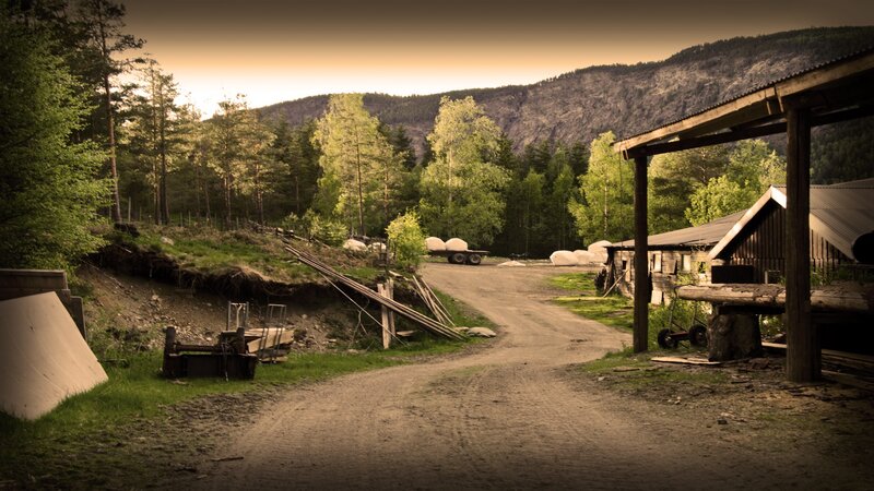 Rural path near wooden buildings