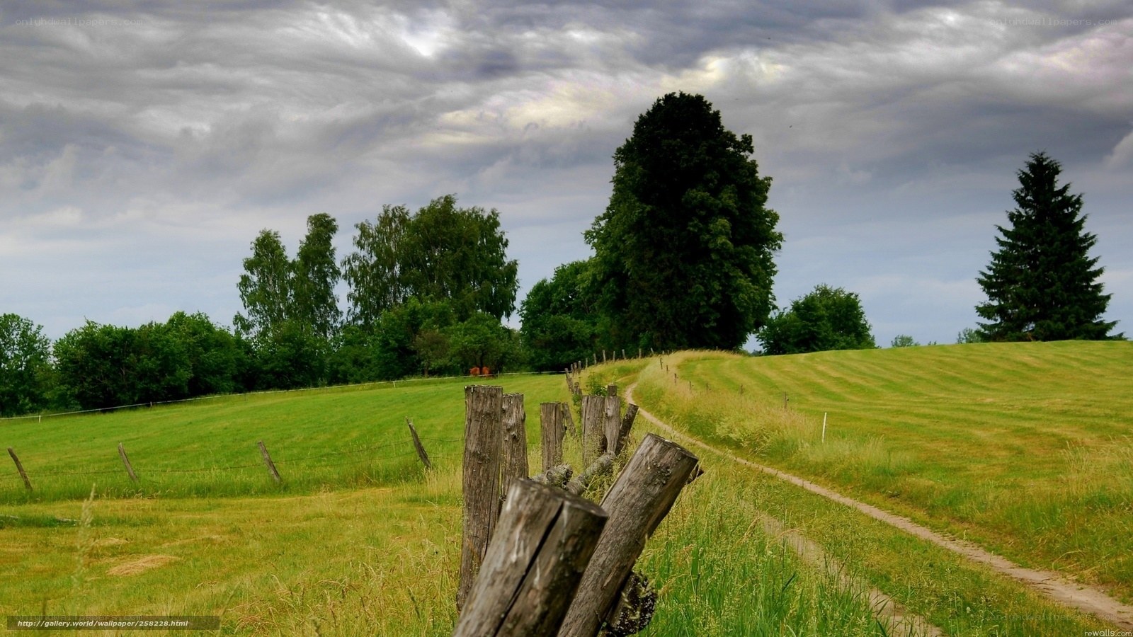 Rural path through green fields