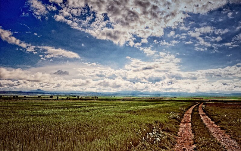 Rural path through green fields