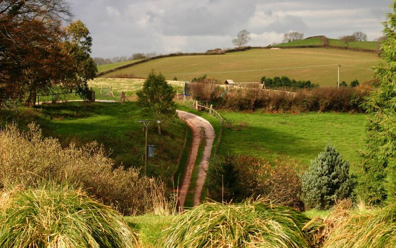 rural path through green hills