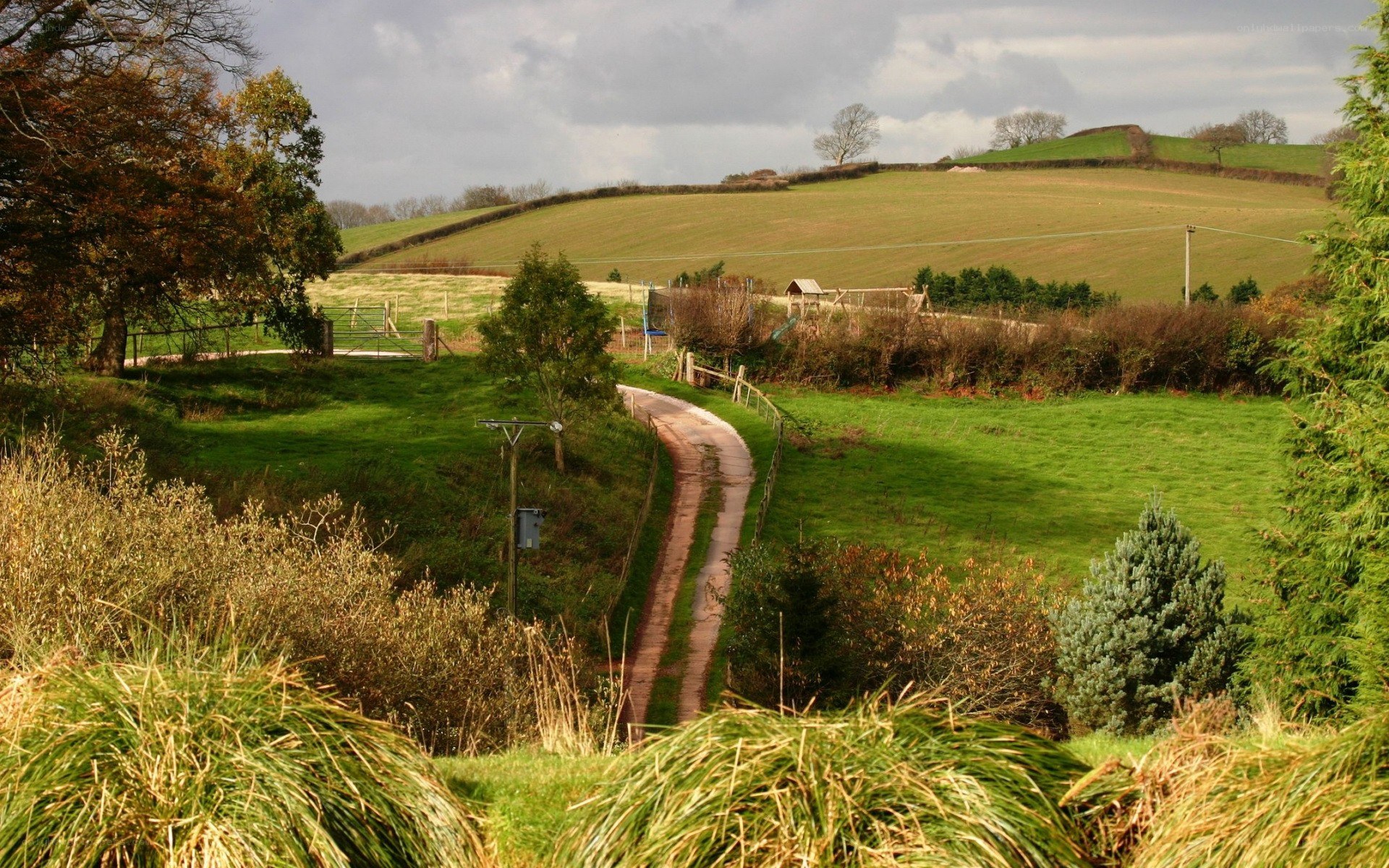 rural path through green hills