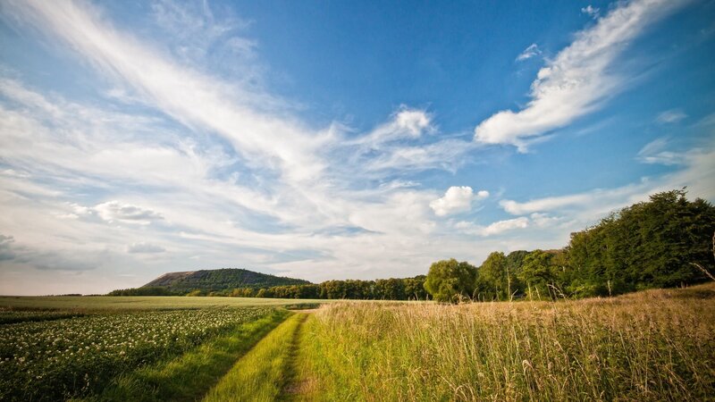Rural path under blue sky