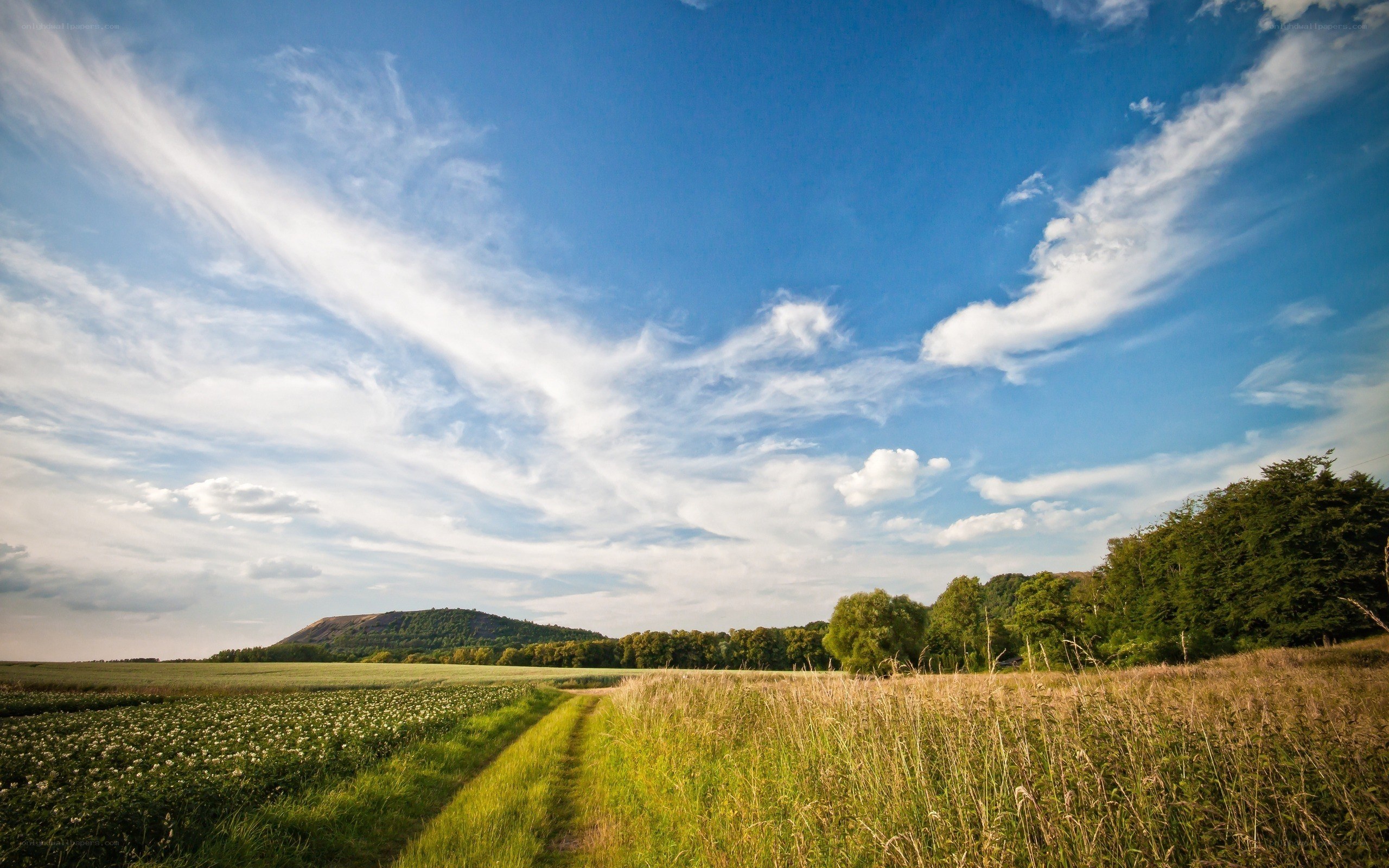 Rural path under blue sky