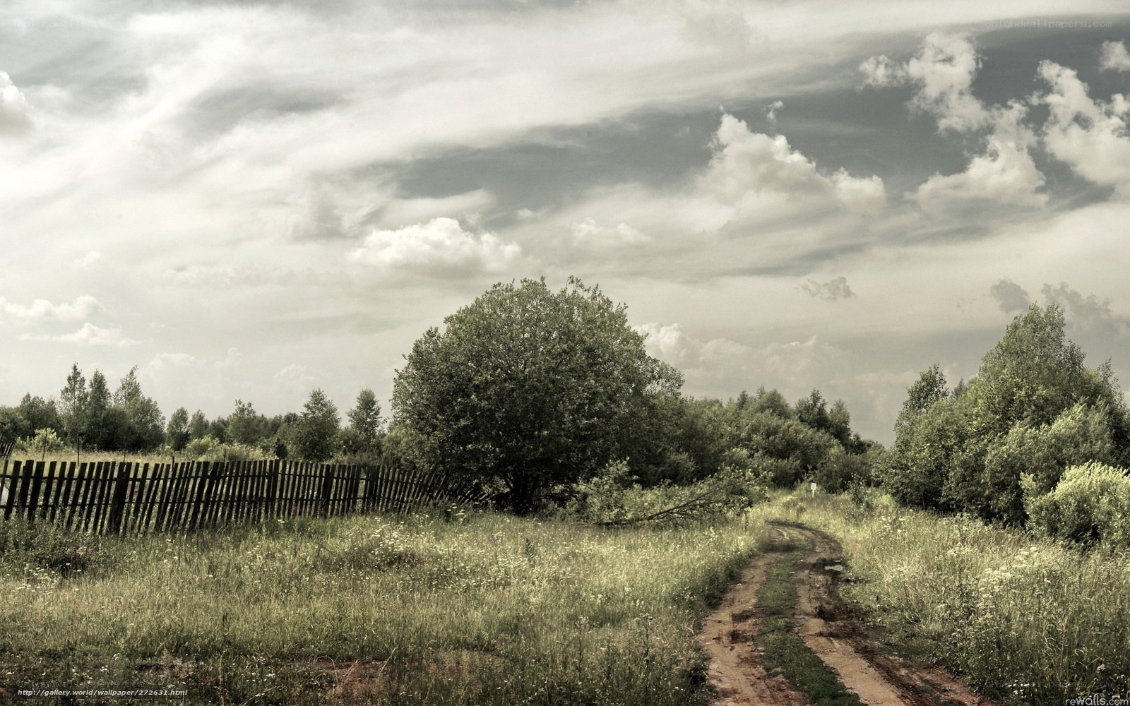 Rural path under cloudy sky
