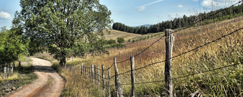Rural path with barbed wire fence