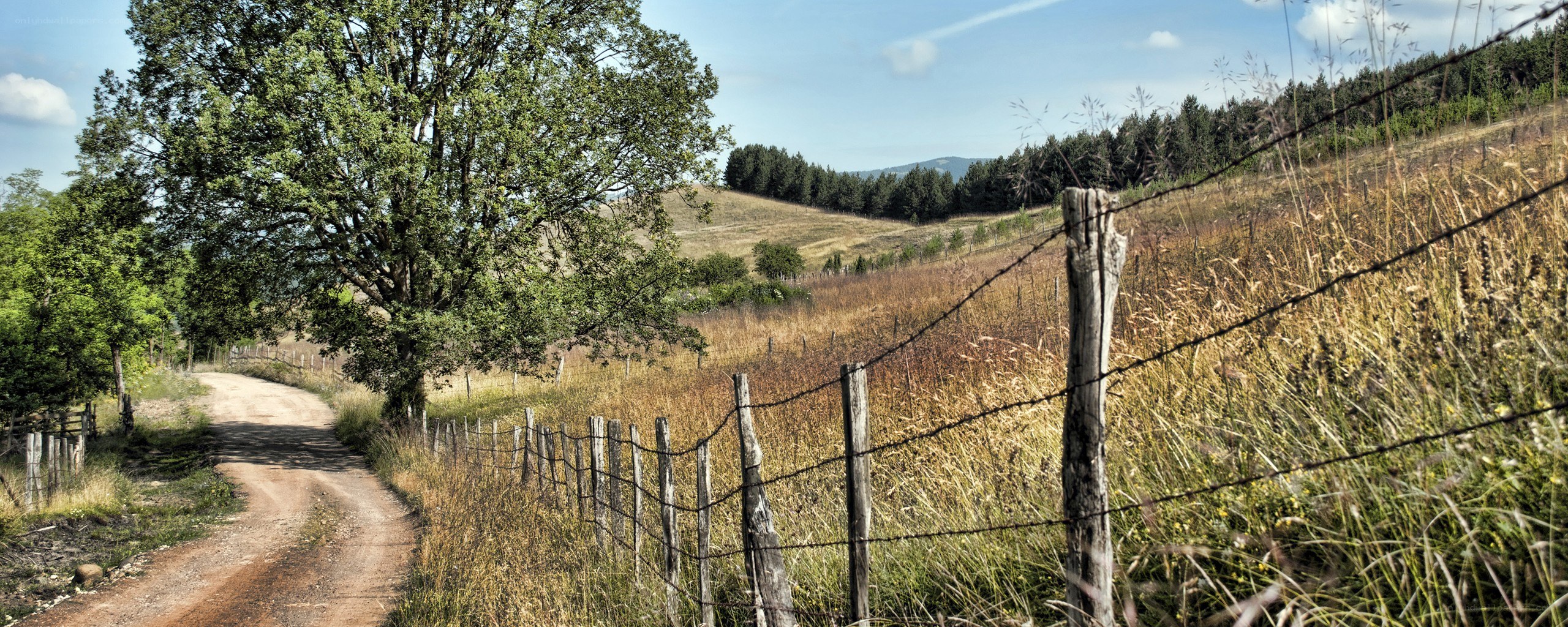 Rural path with barbed wire fence