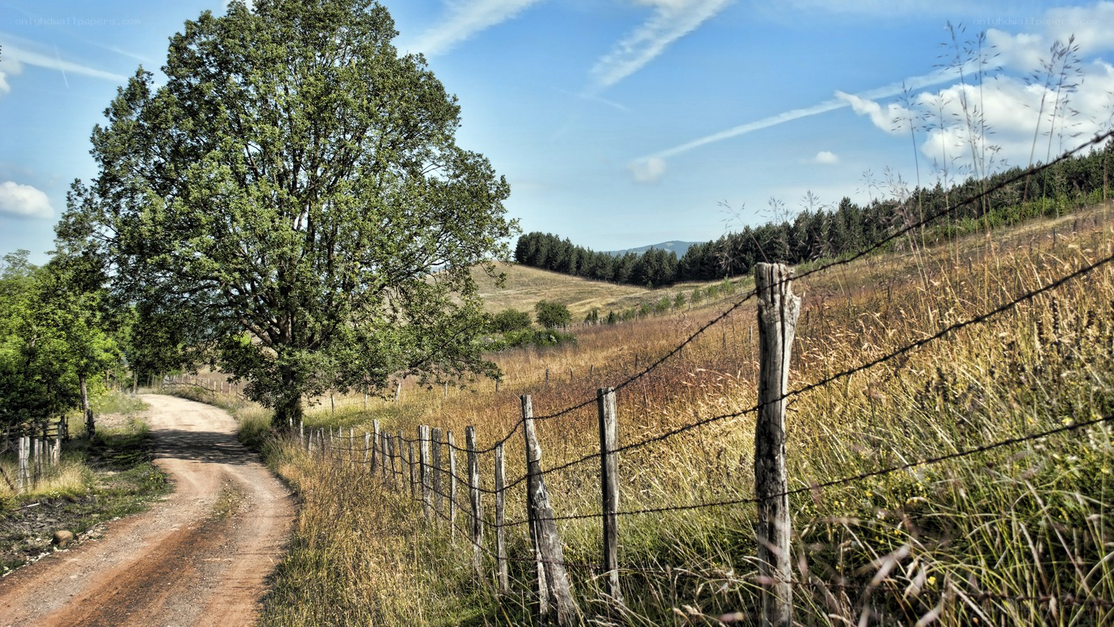 Rural path with barbed wire fence