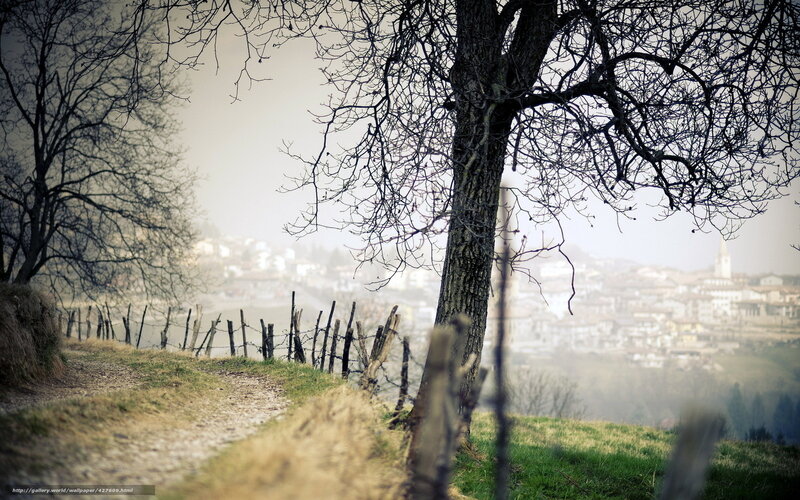 Rural path with distant town