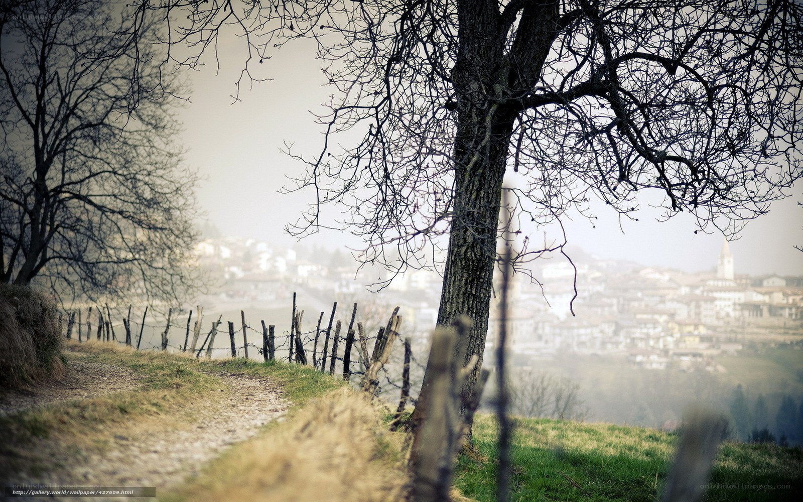 Rural path with distant town