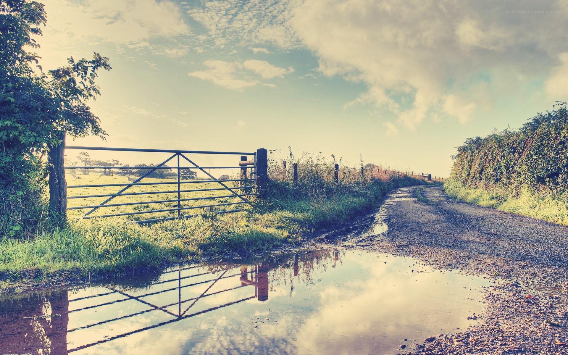 Rural path with gate and puddle
