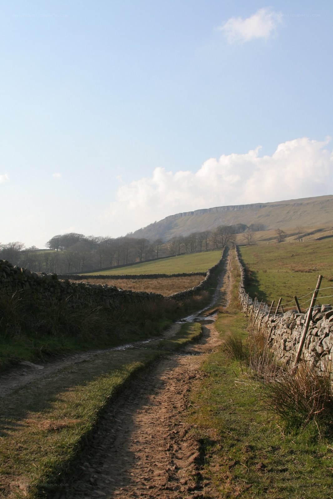 Rural path with stone walls