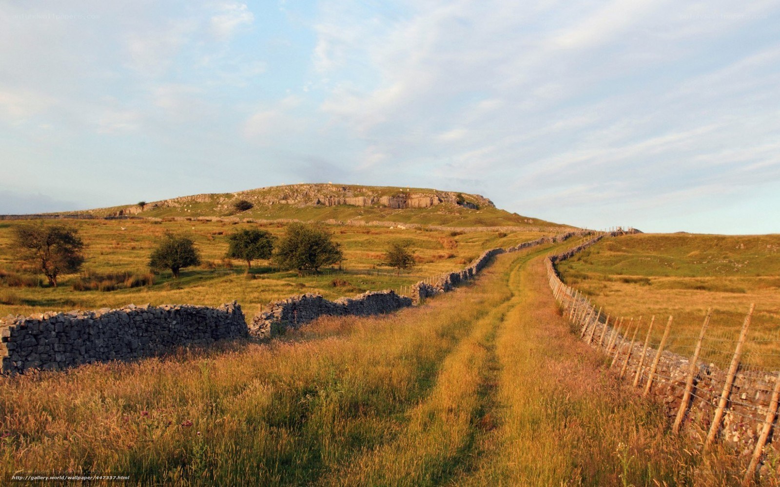 rural path with stone walls