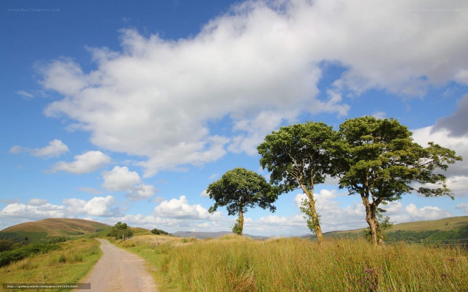 Rural path with trees and hills