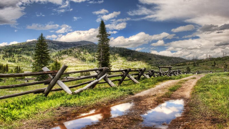 Rural path with wooden fence