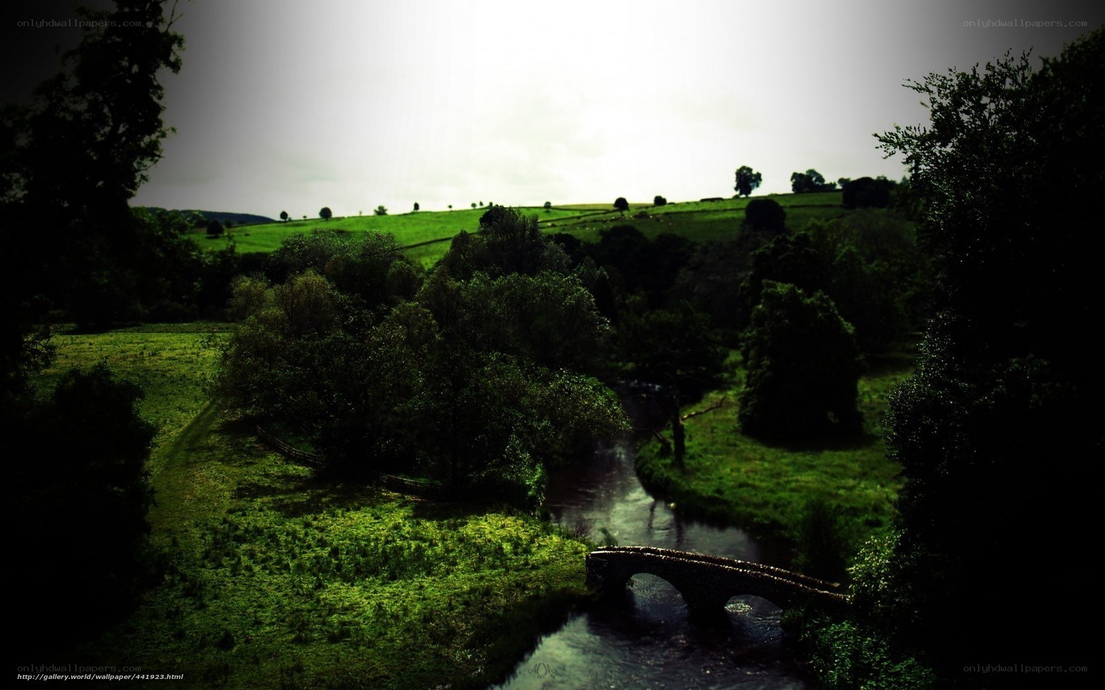 Rural river landscape
