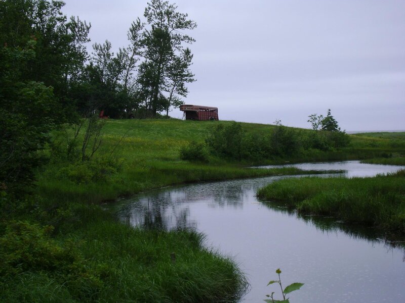 Rural river with horse trailer