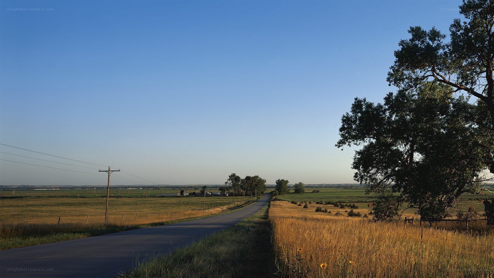 Rural road at sunset