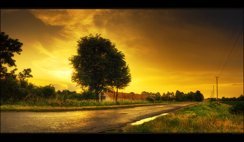 Rural Road at Sunset — Yellow, Dramatic, Photograph