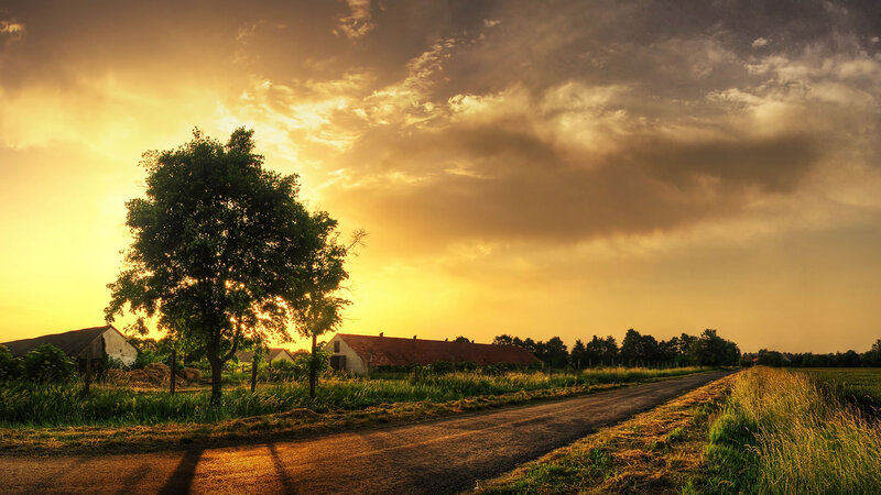 Rural Road at Sunset — Yellow, Dramatic, Photograph, Tree, Barns