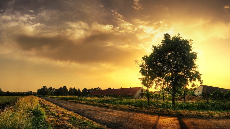 Rural Road at Sunset — Yellow, Dramatic, Photograph, Tree, Farmhouse