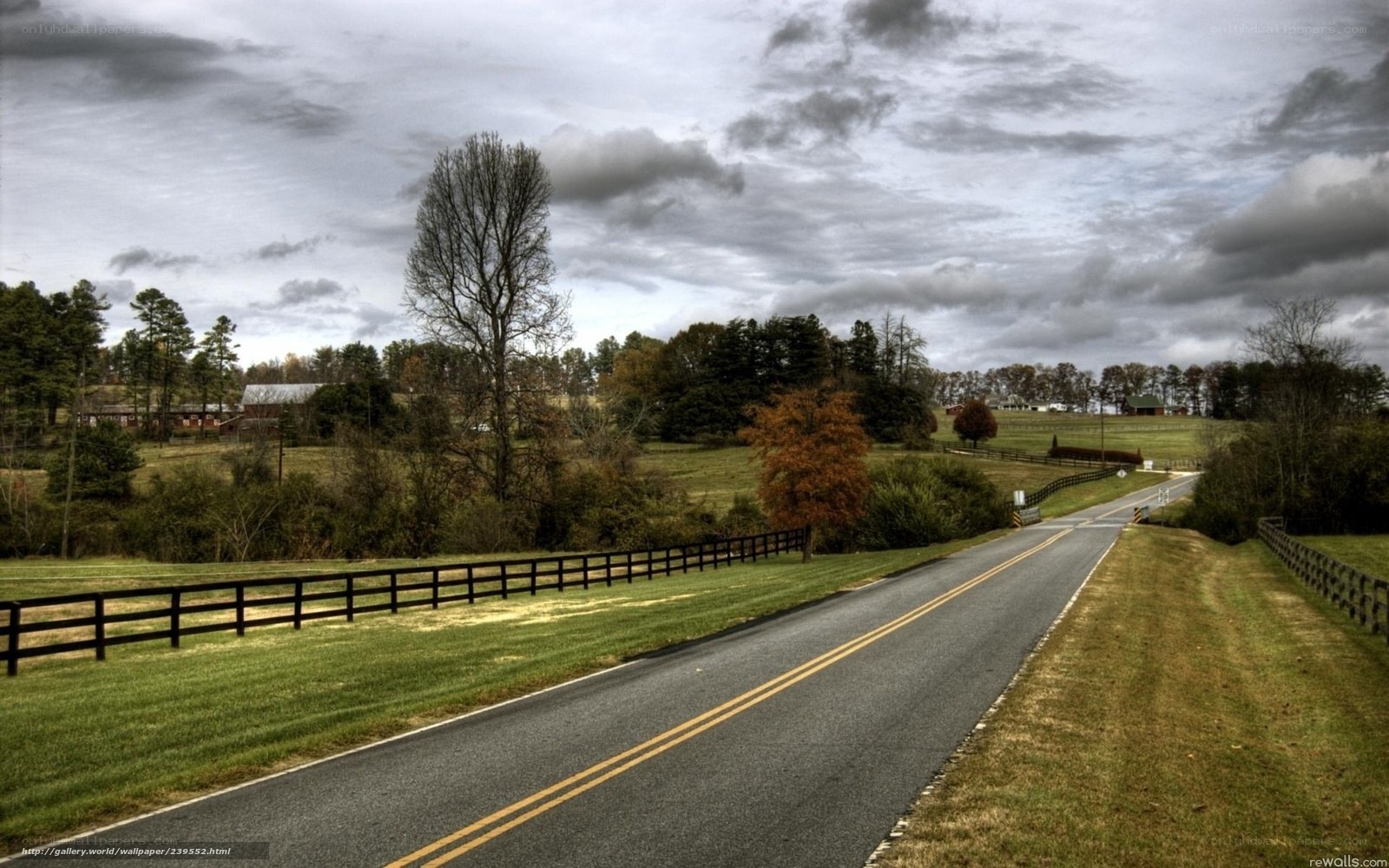 Rural Road in Autumn