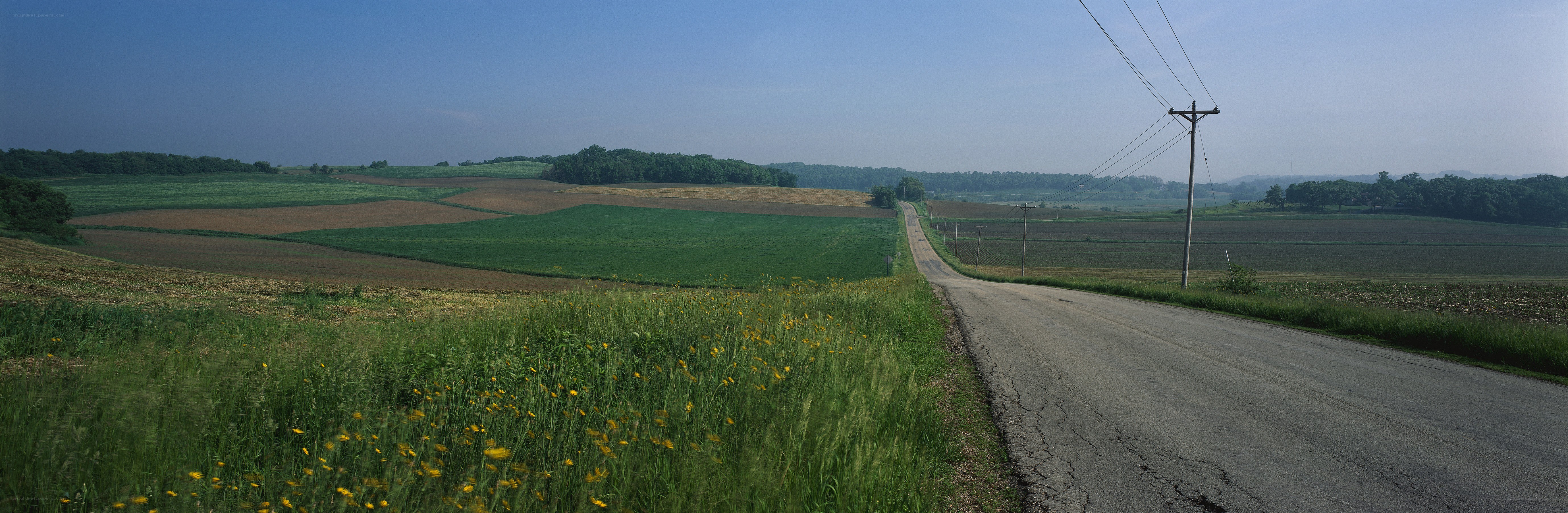Rural road through farmland