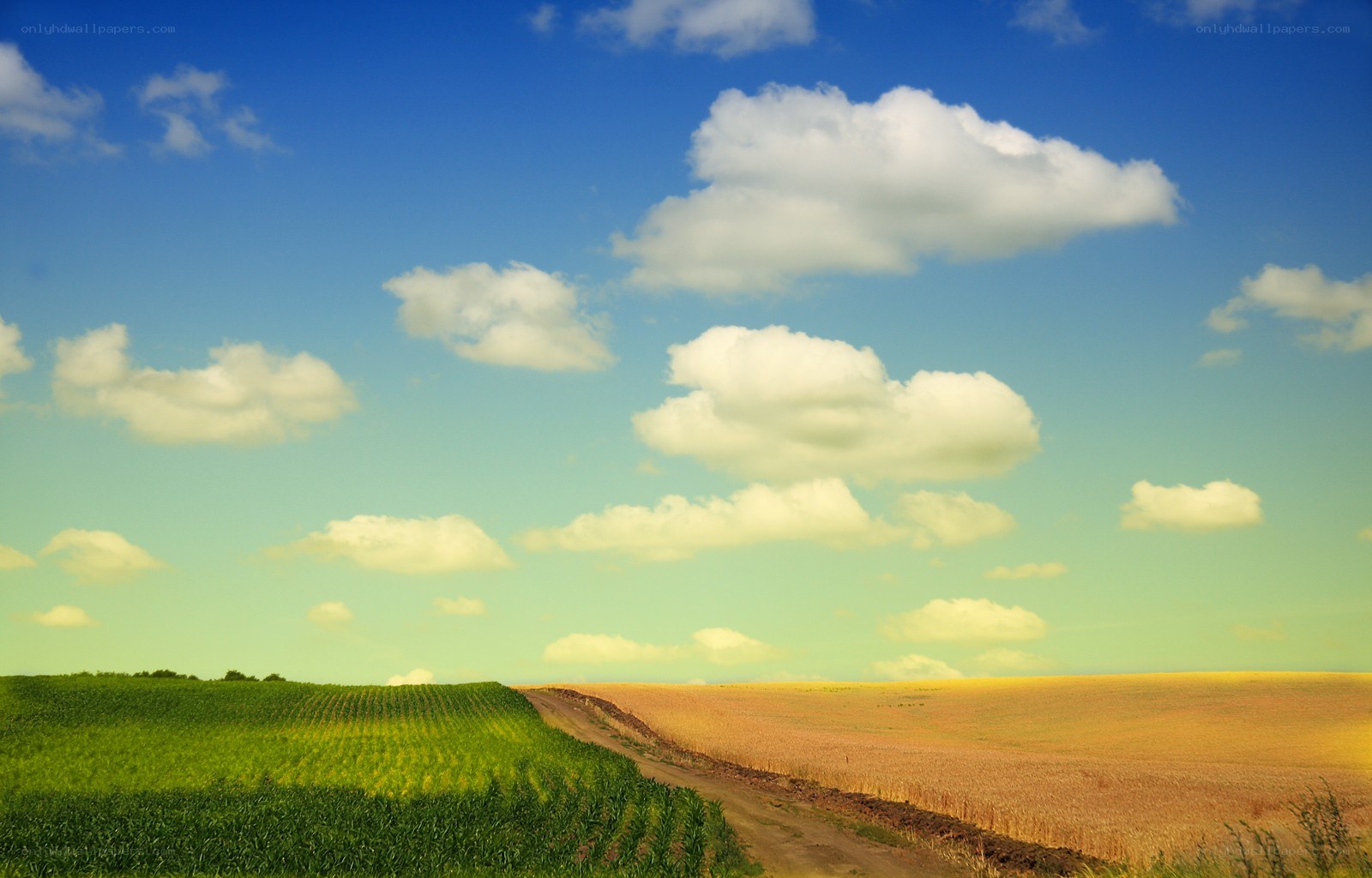 Rural road through fields under blue sky