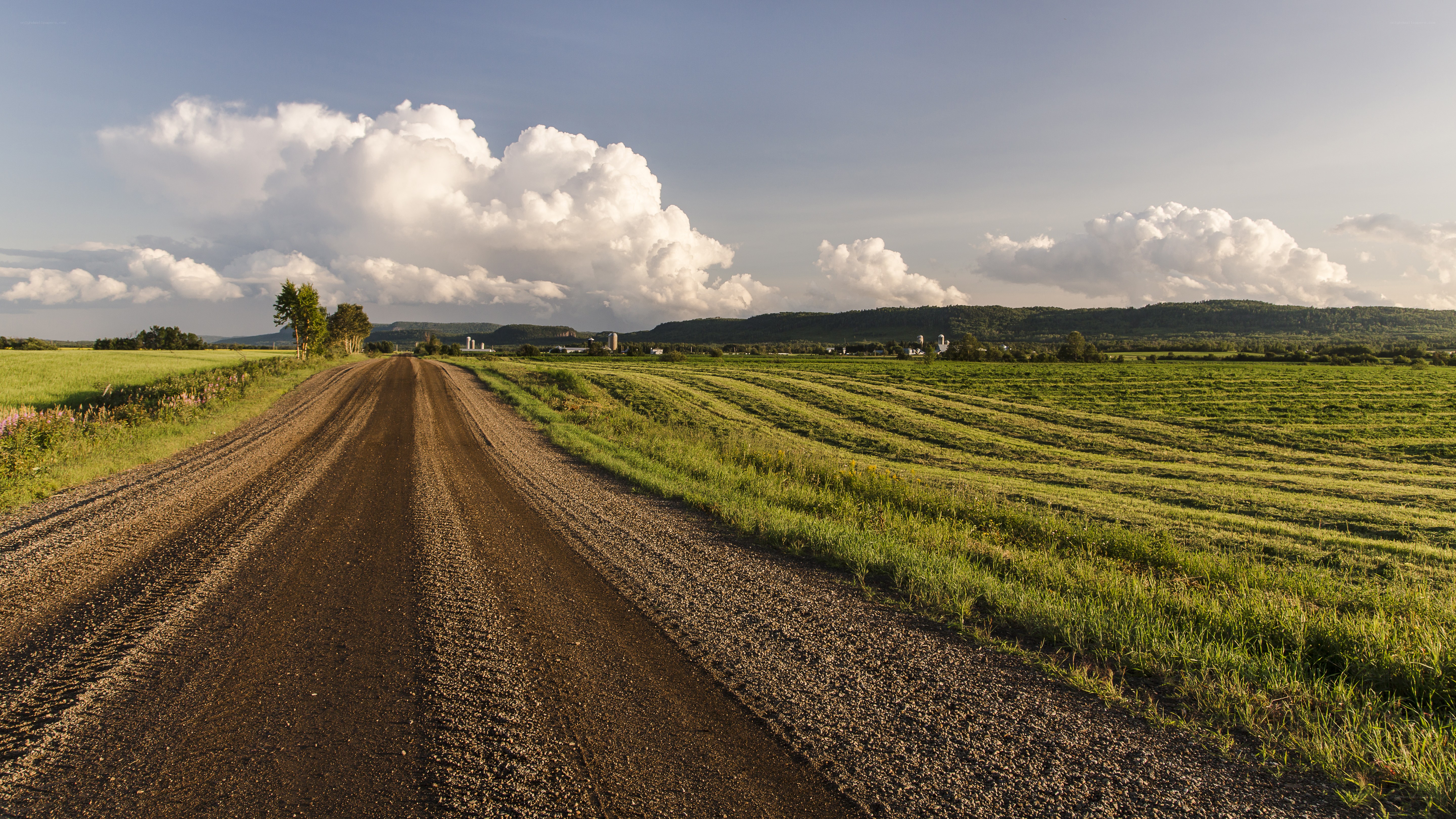 Rural road through green fields
