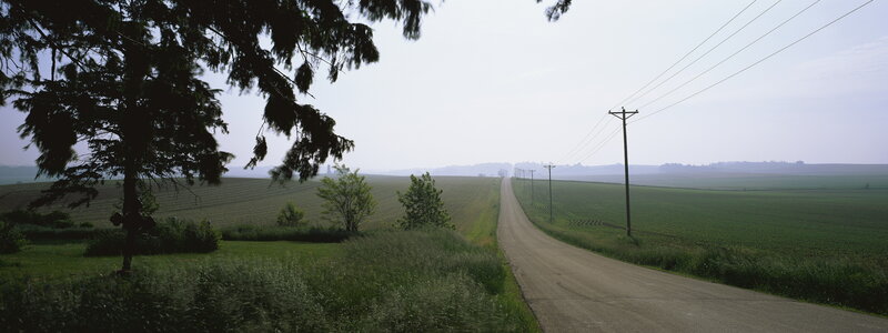 Rural road through green fields