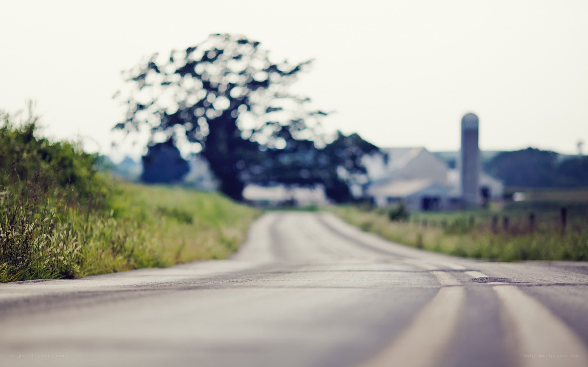 rural road to farm