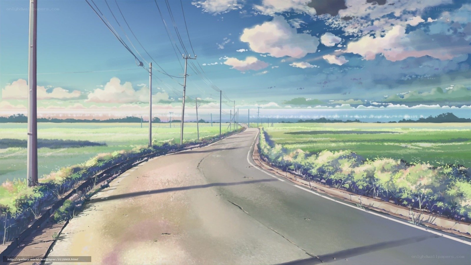 Rural Road Under Blue Sky