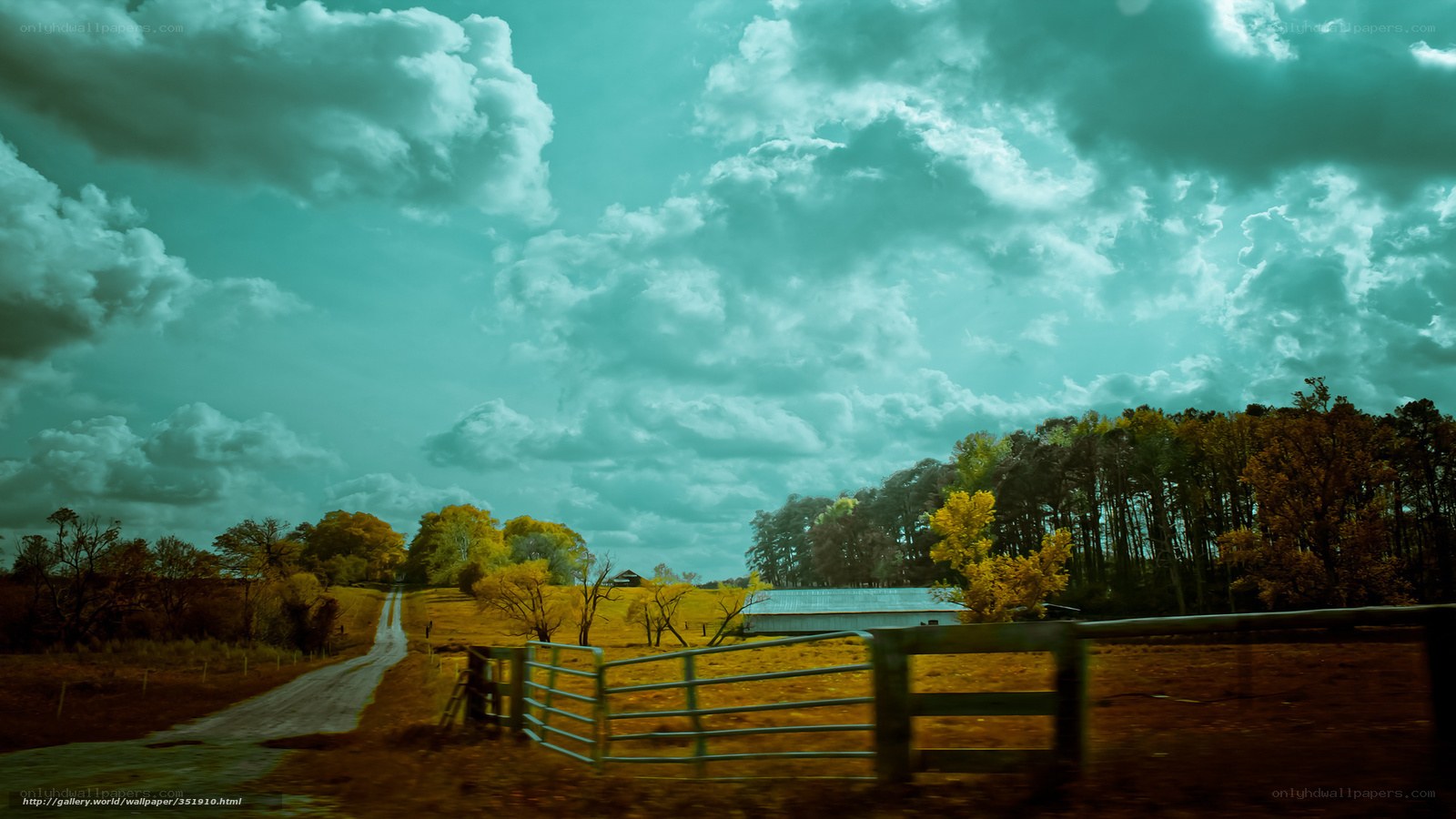 Rural Road Under Cloudy Sky