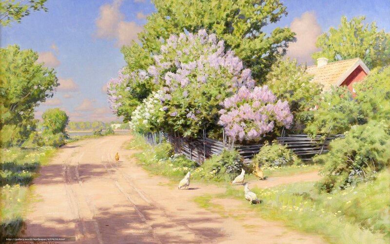 Rural Road with Chickens