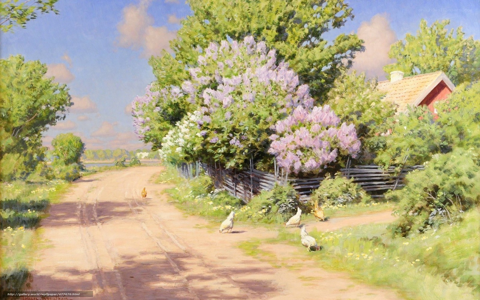 Rural Road with Chickens