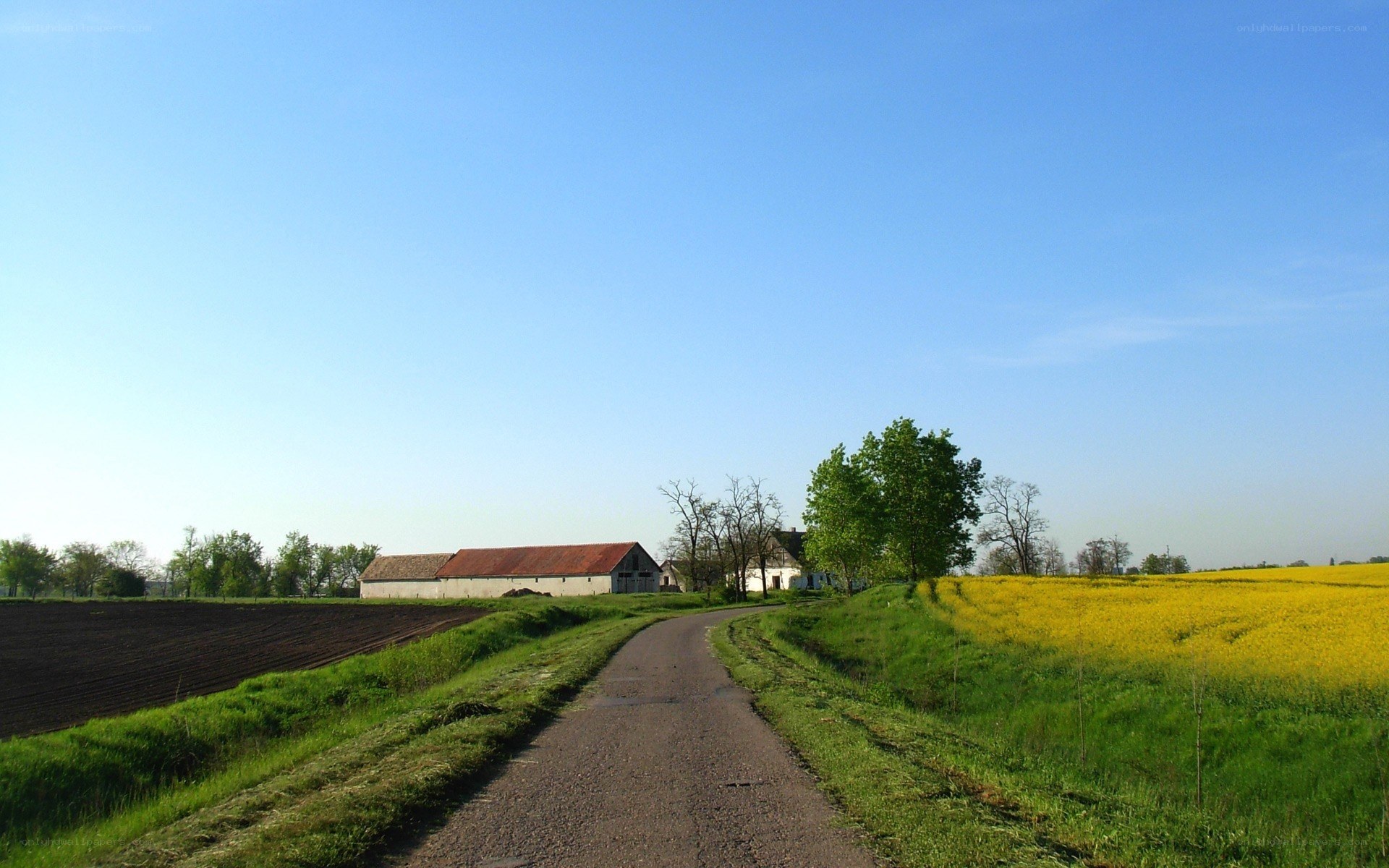 Rural road with farm and fields