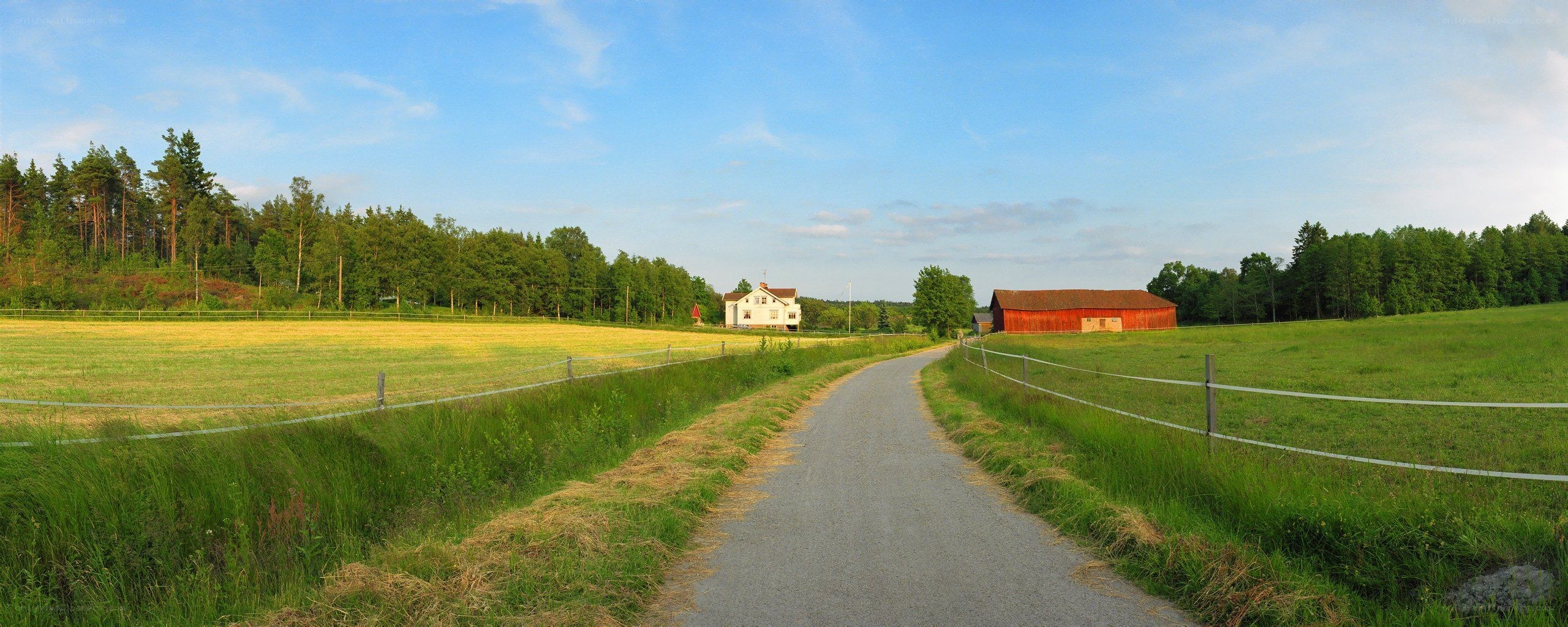 Rural road with farm buildings