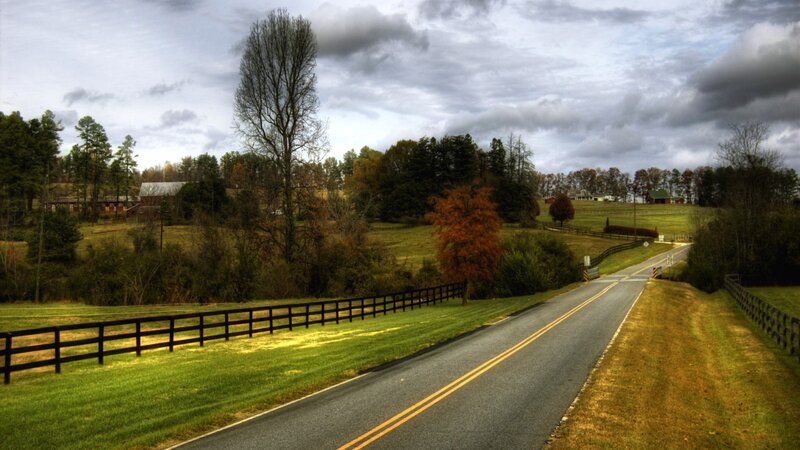 Rural Road with Fences
