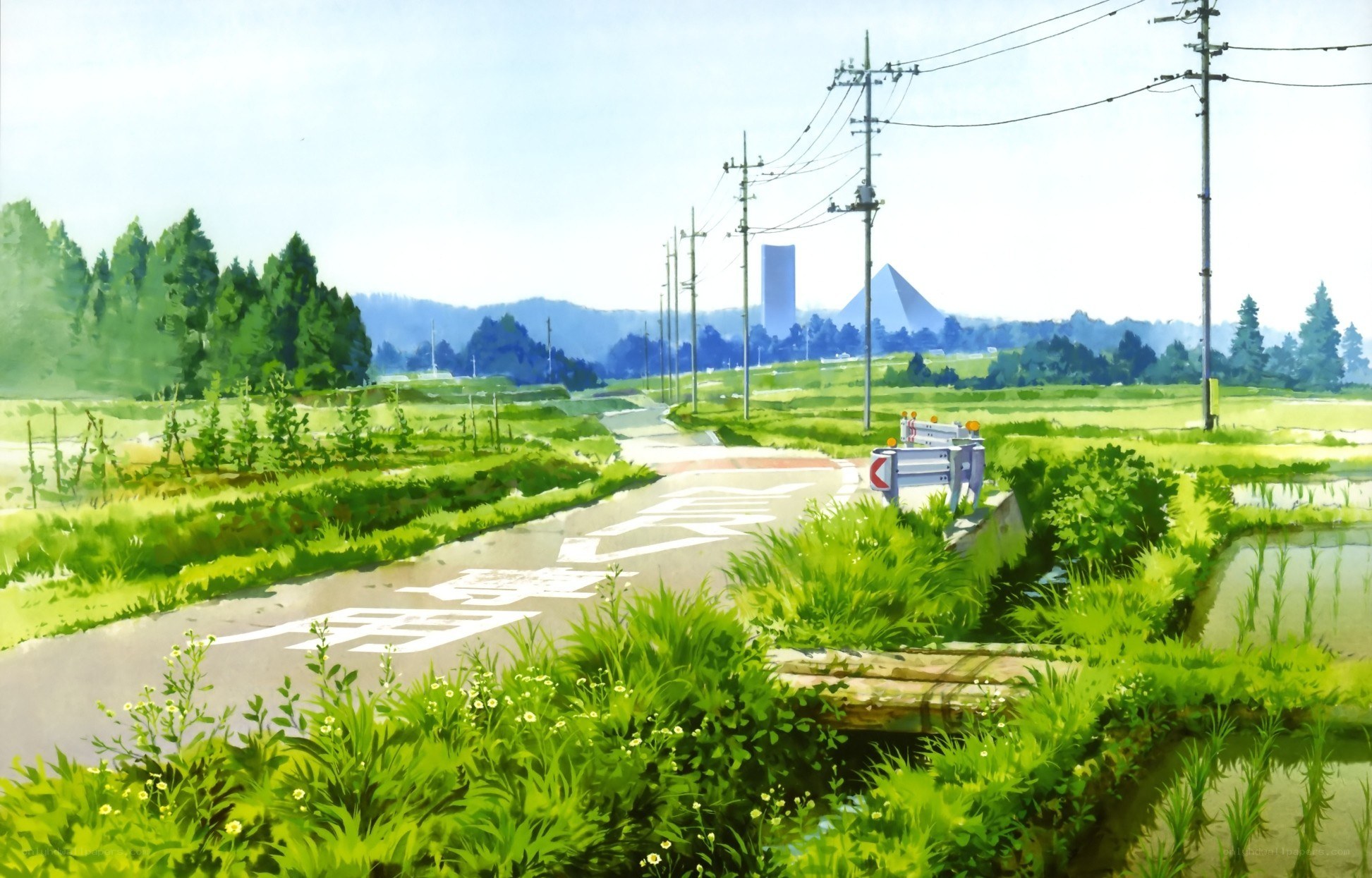 rural road with green fields