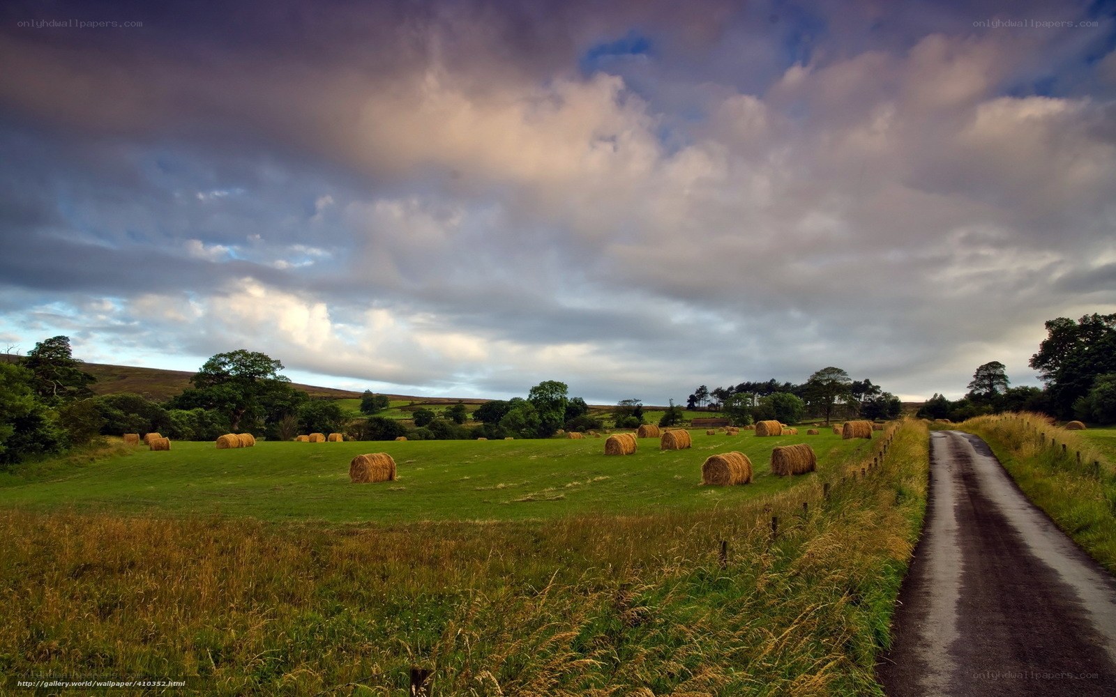 Rural Road with Hay Bales