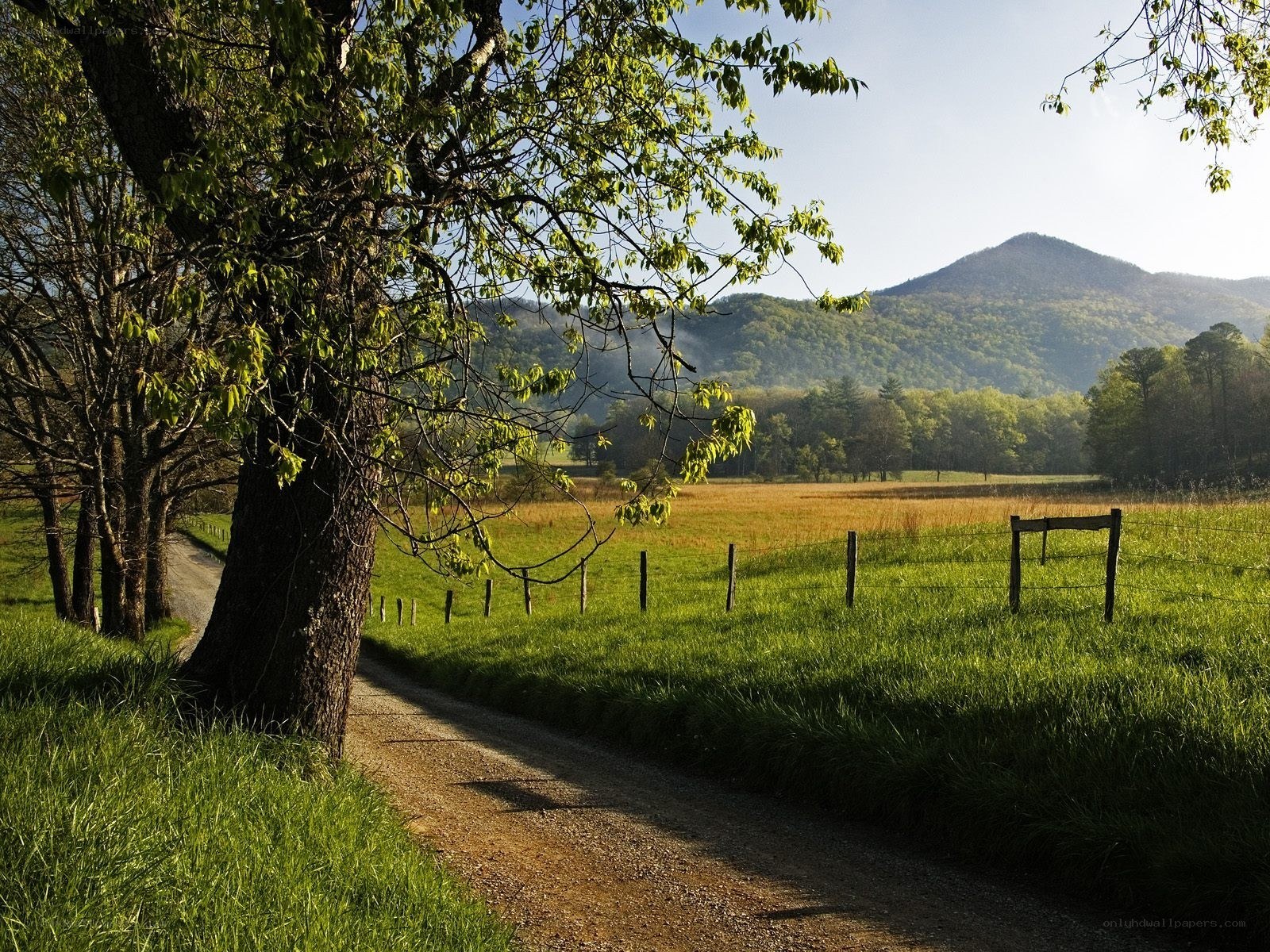 Rural road with mountain view