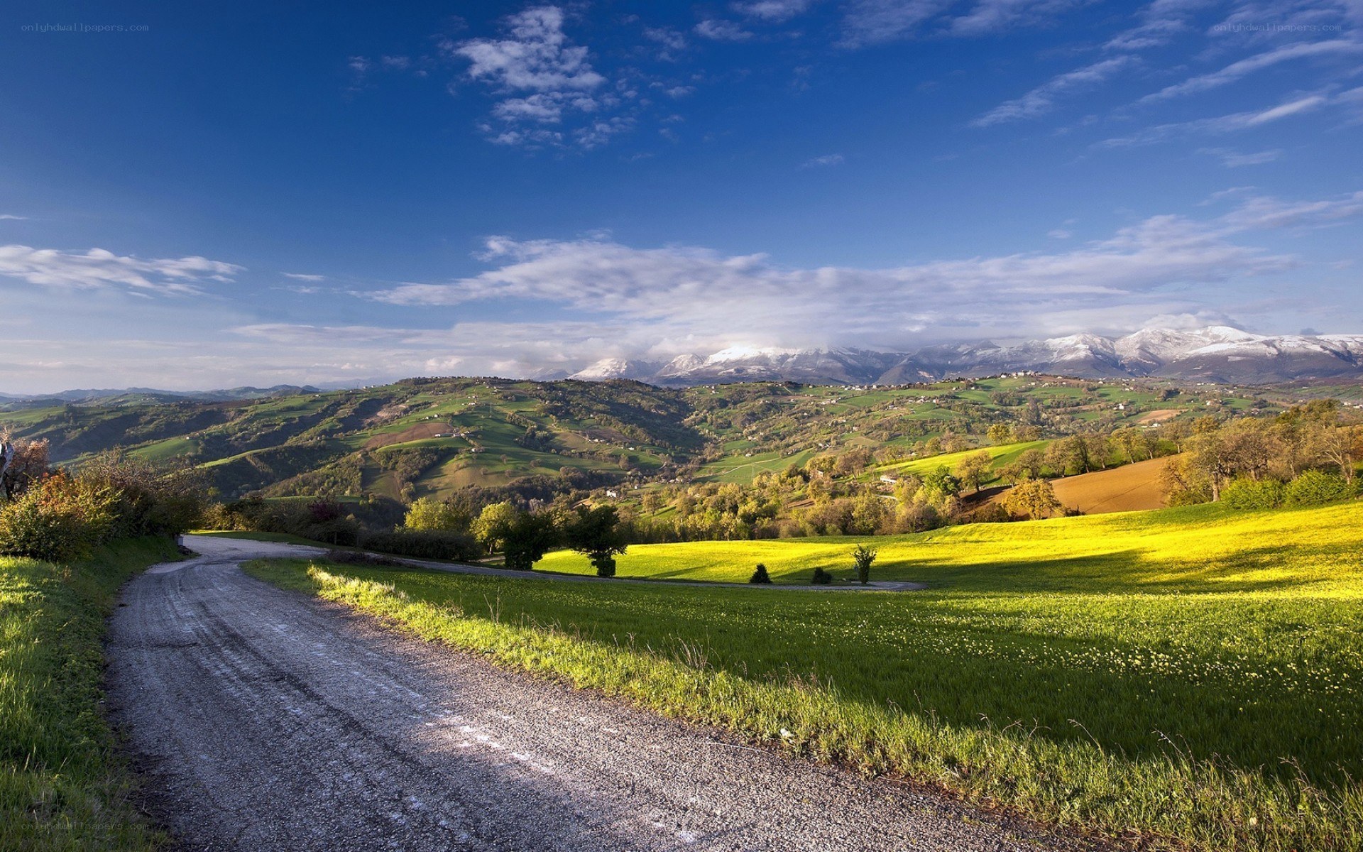 Rural road with mountain view