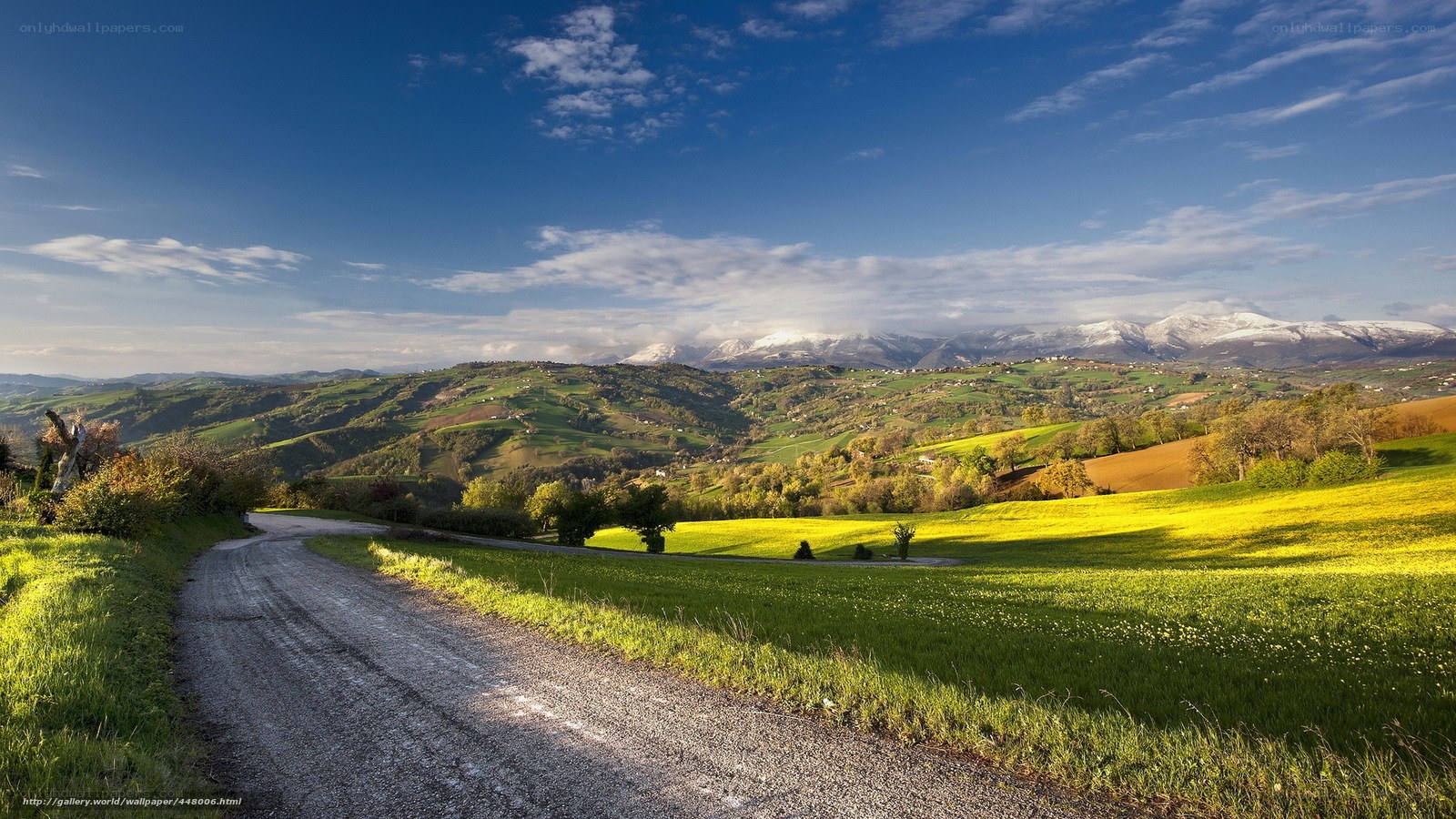 Rural road with mountain view