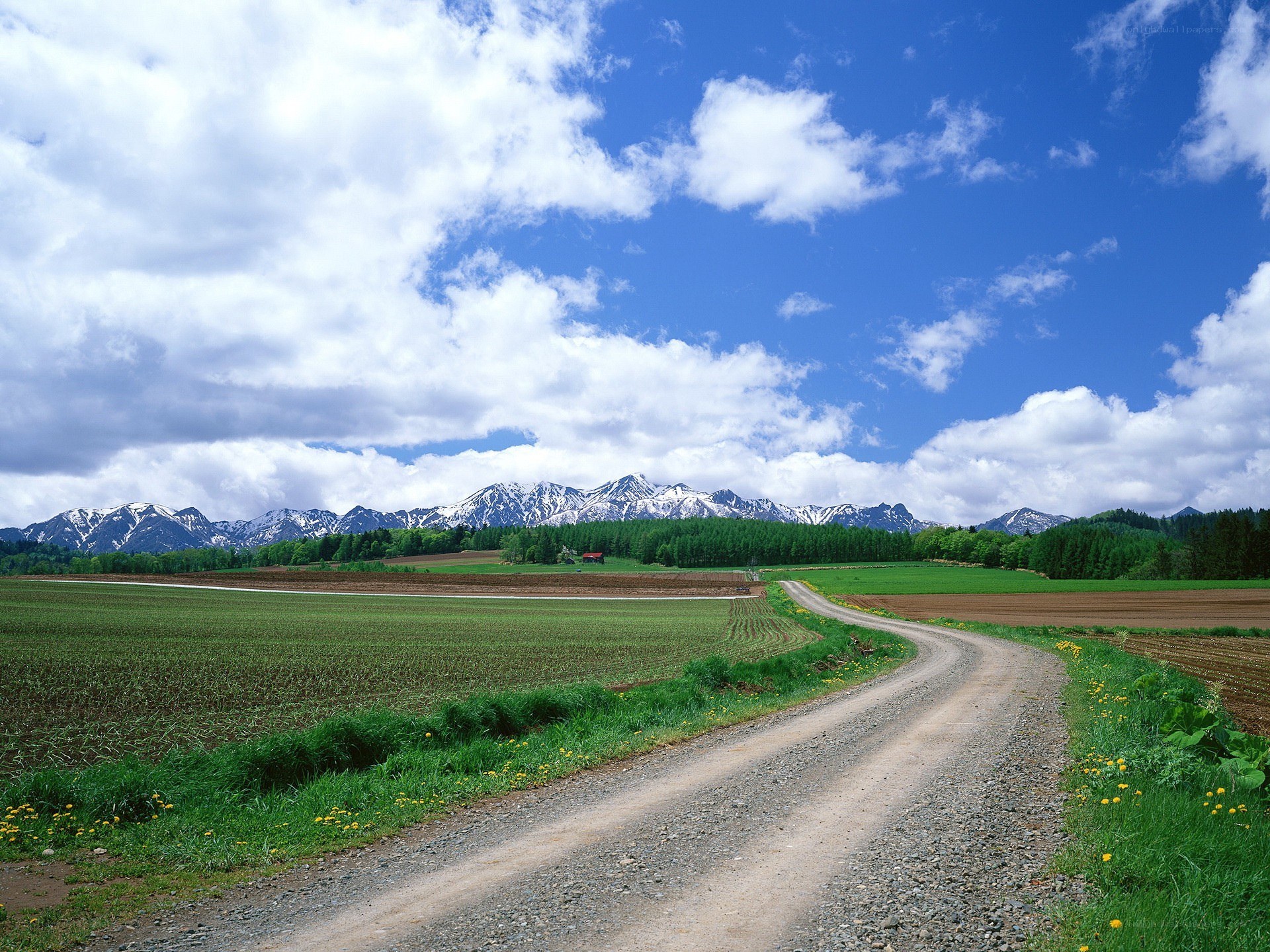 Rural road with mountains in background
