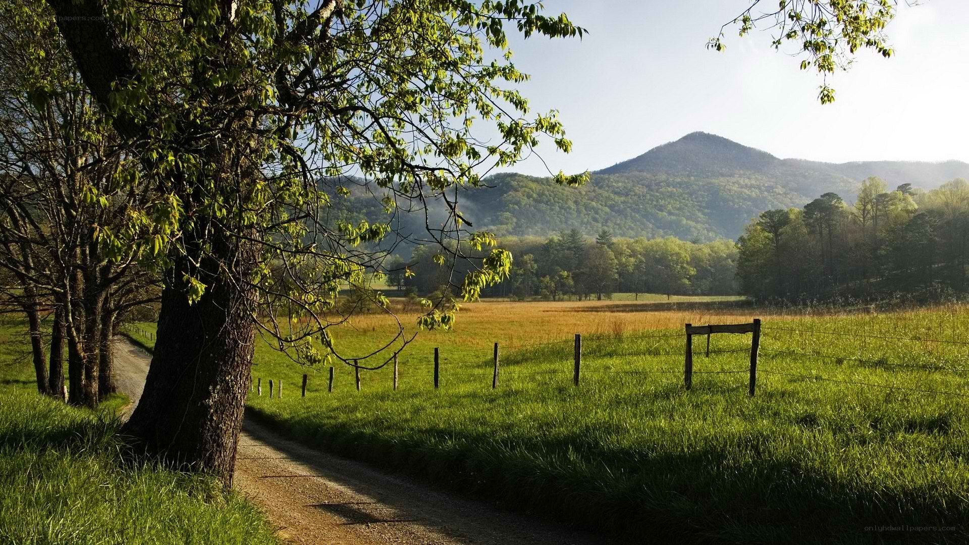 Rural road with mountains in background
