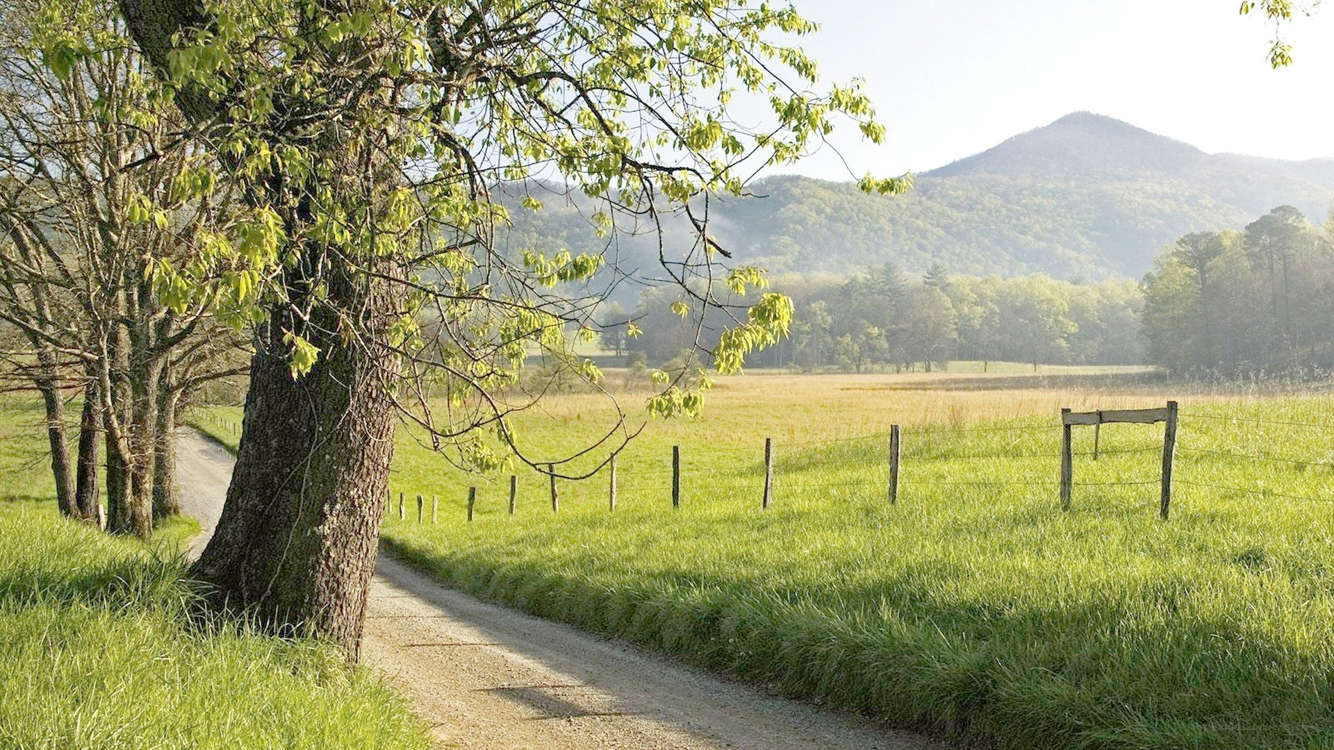 Rural road with mountains in background