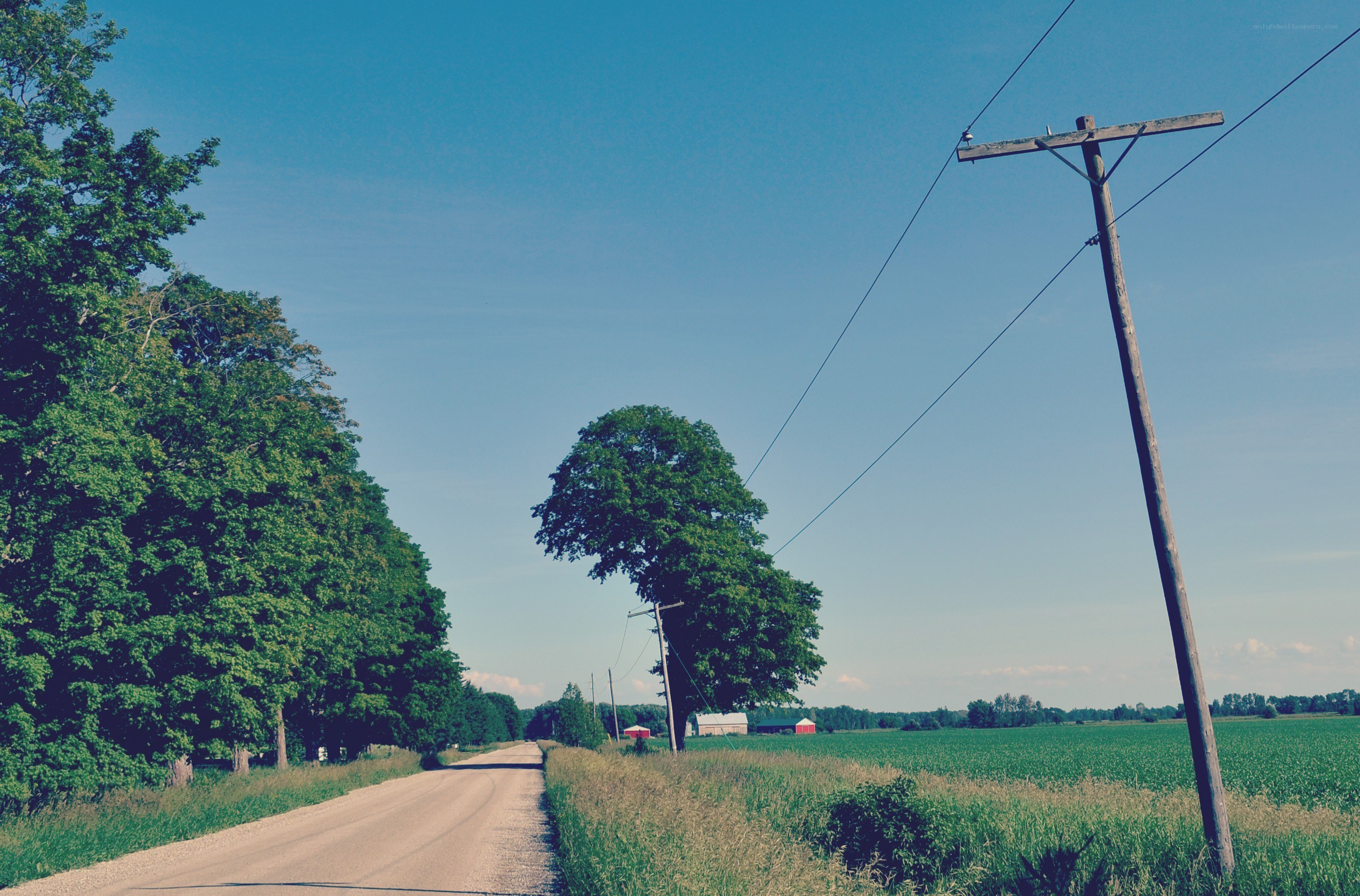 Rural road with power lines