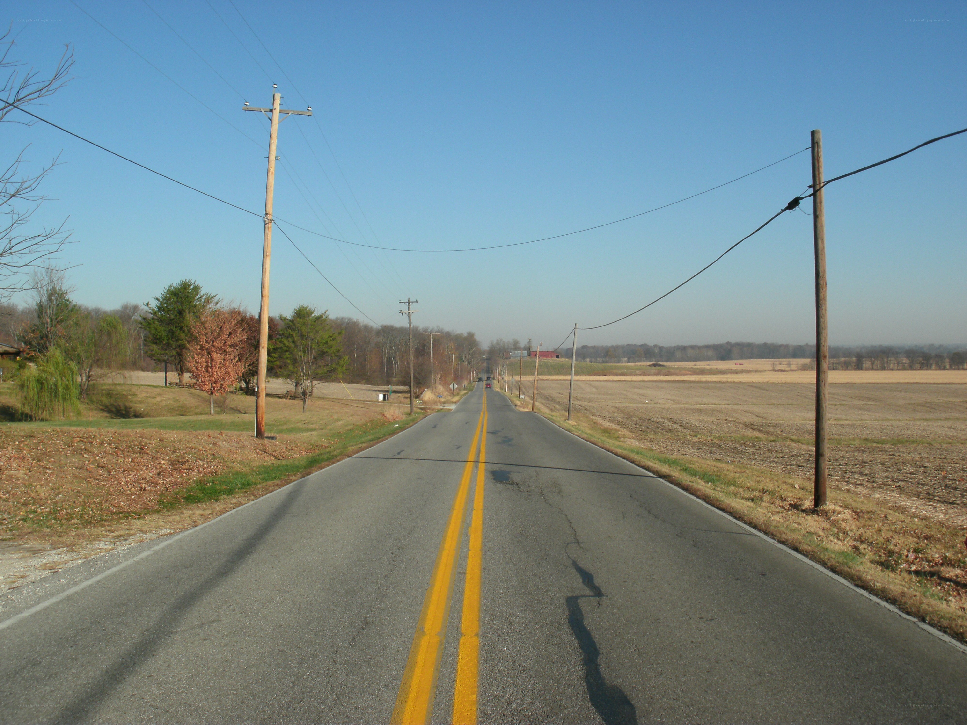 rural road with power lines