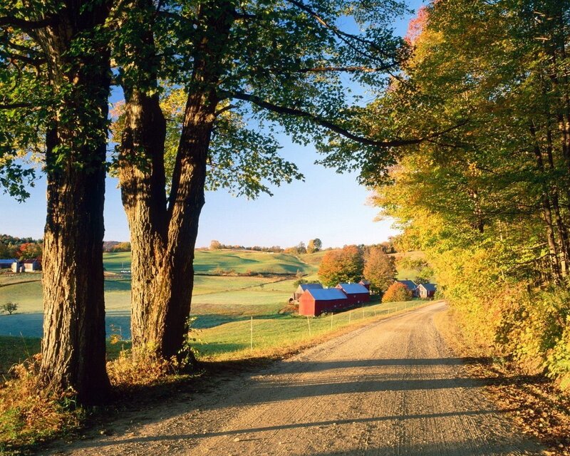 Rural road with red barns