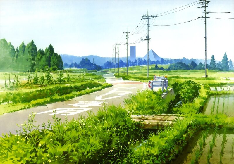 Rural Road with Rice Fields — Green, Serene, Afternoon